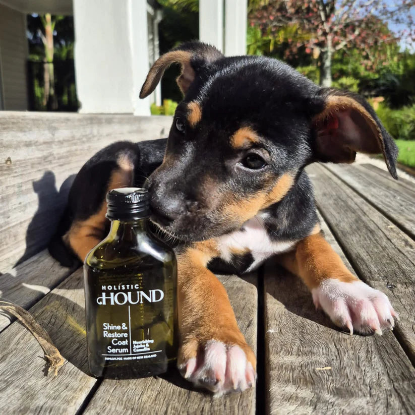 Holistic Hound Shine & Restore Coat Serum