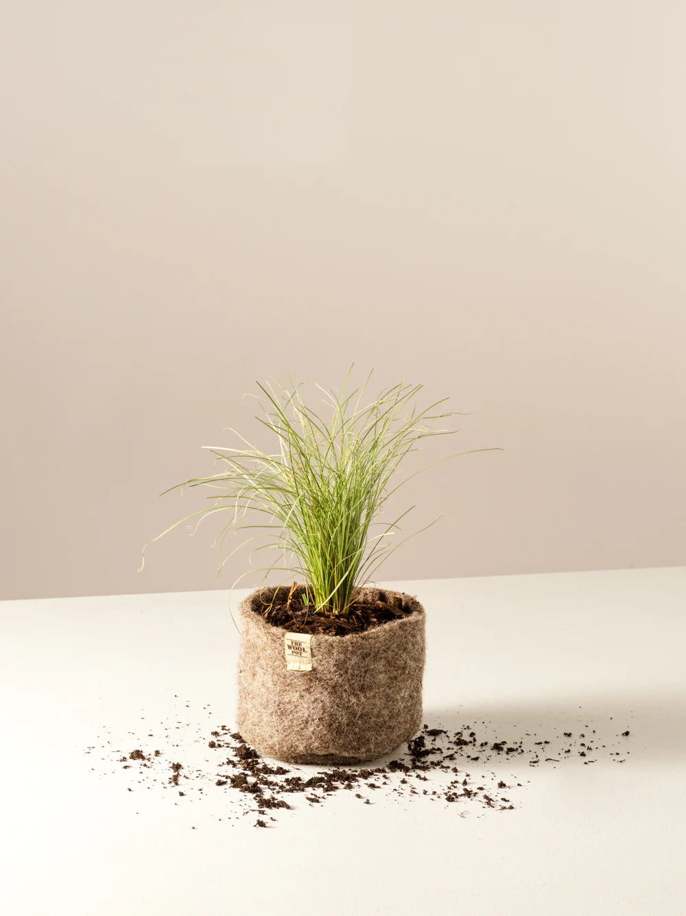 Exquisite Wools - Wool Pot - 3 Pack 1L capacity