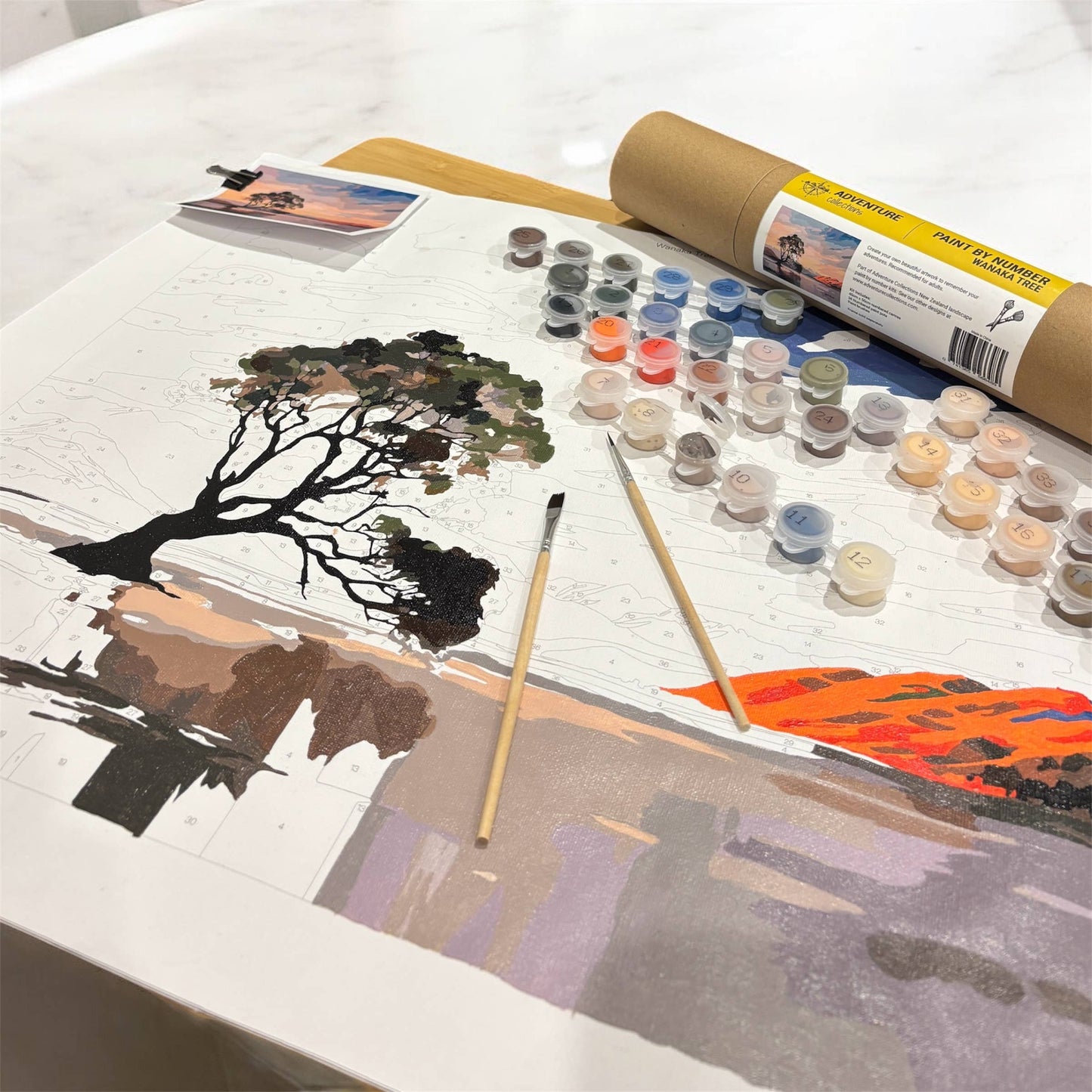 Wanaka Tree Paint by Numbers Kit