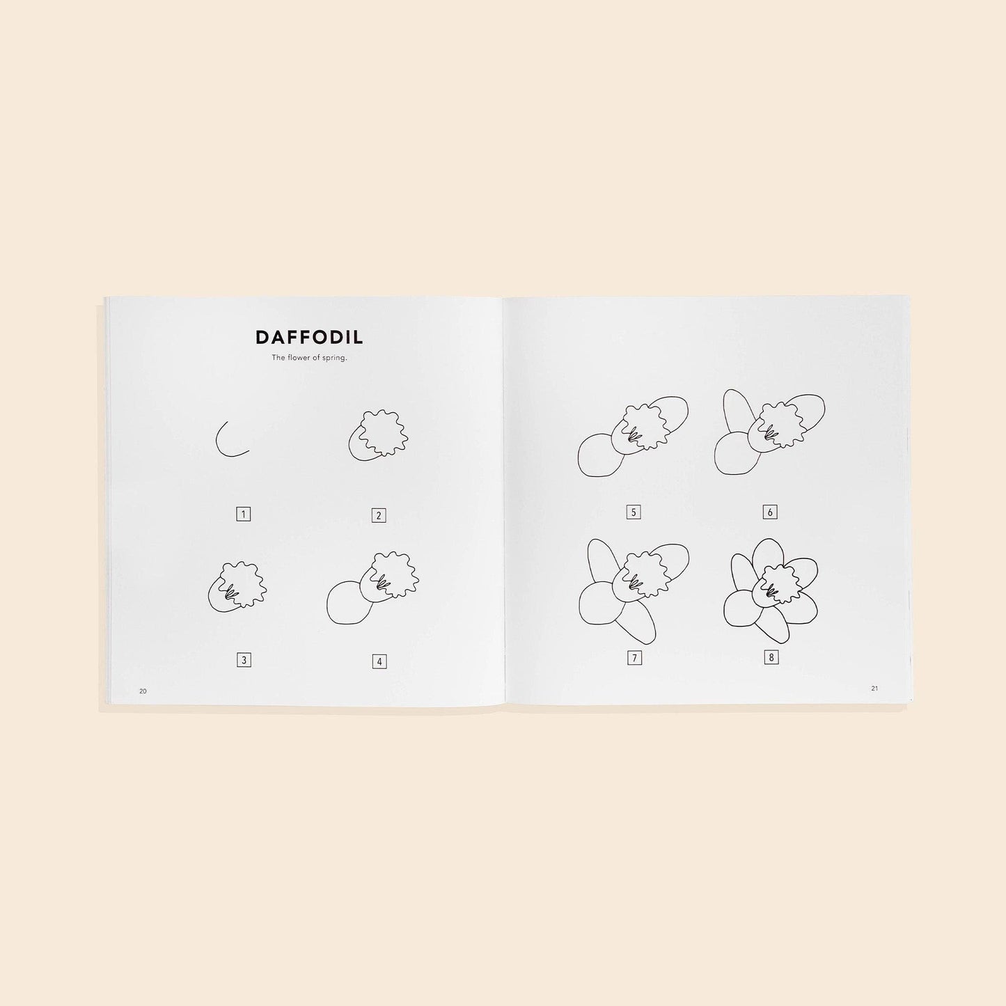 Modern Flowers: A How to Draw Book for Kids (Valentines)