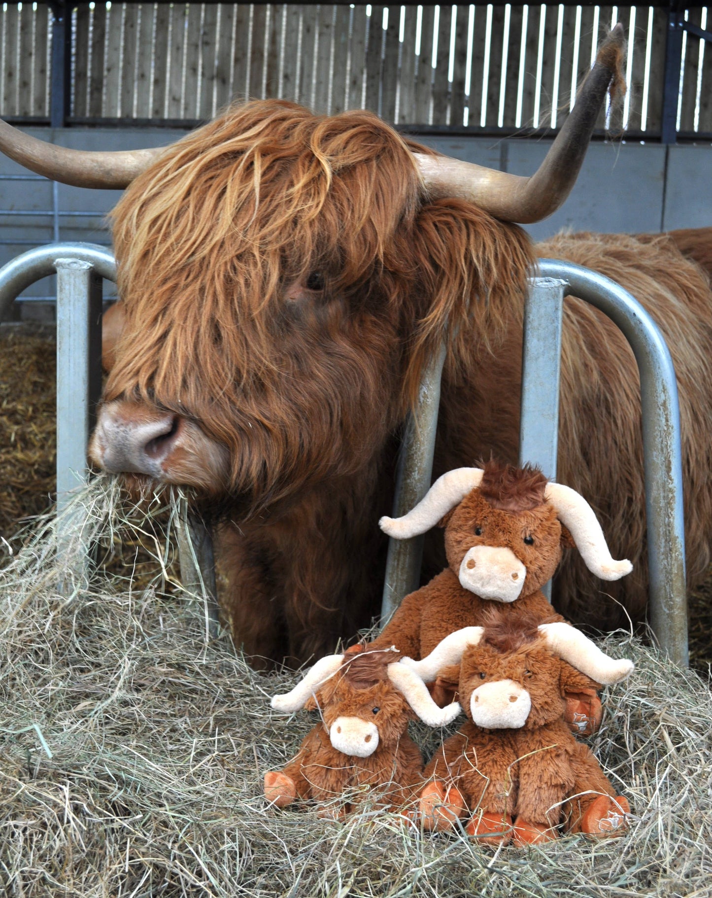 Horny Highland Cow Plush Brown Small Soft Toy - 18cm
