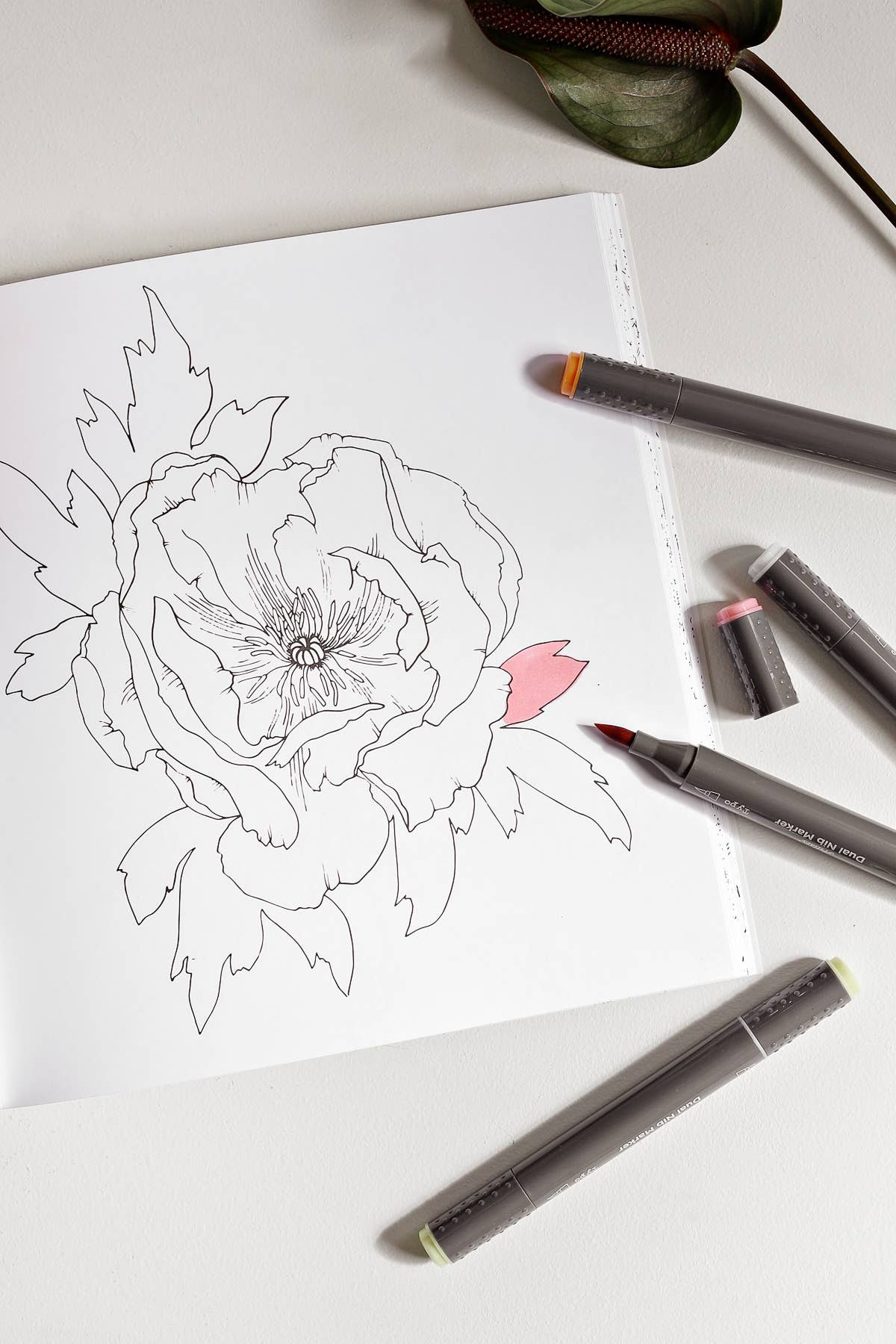 The Plant Lady: A Floral Adult Coloring Book -Valentine Gift