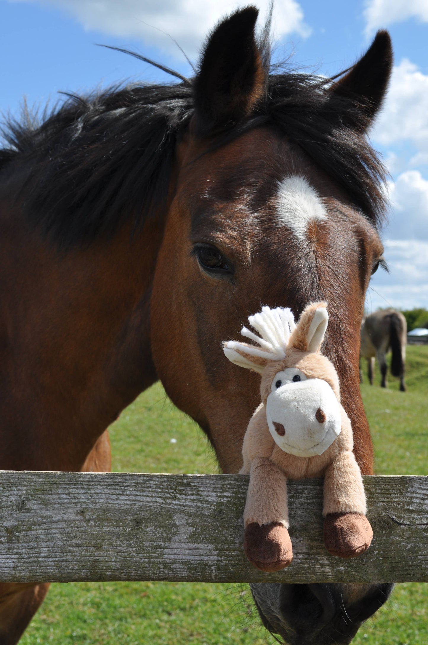 Pony Soft Toy - 20cm