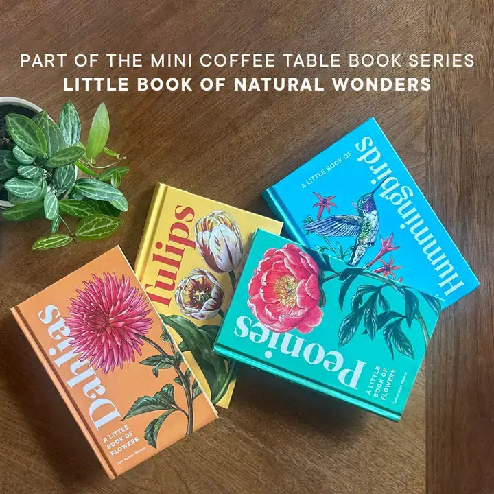 Dahlias: A Little Book of Flowers (Valentines, Galentines)
