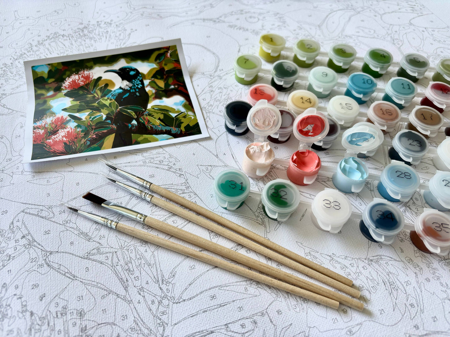 Mount Cook Paint by Numbers Kit