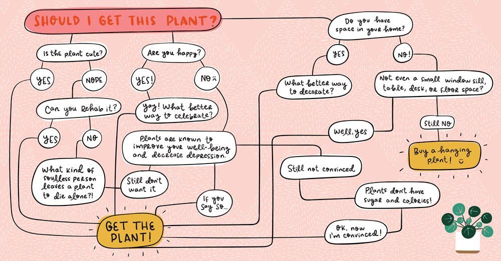 Crazy Plant Lady