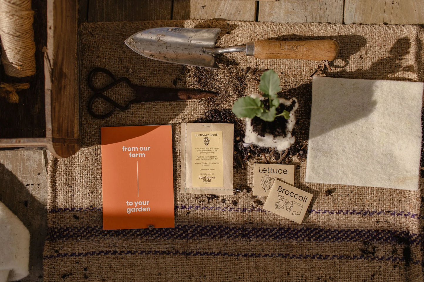 Floating Peaks: The Kids Pack - Create your own wool pots