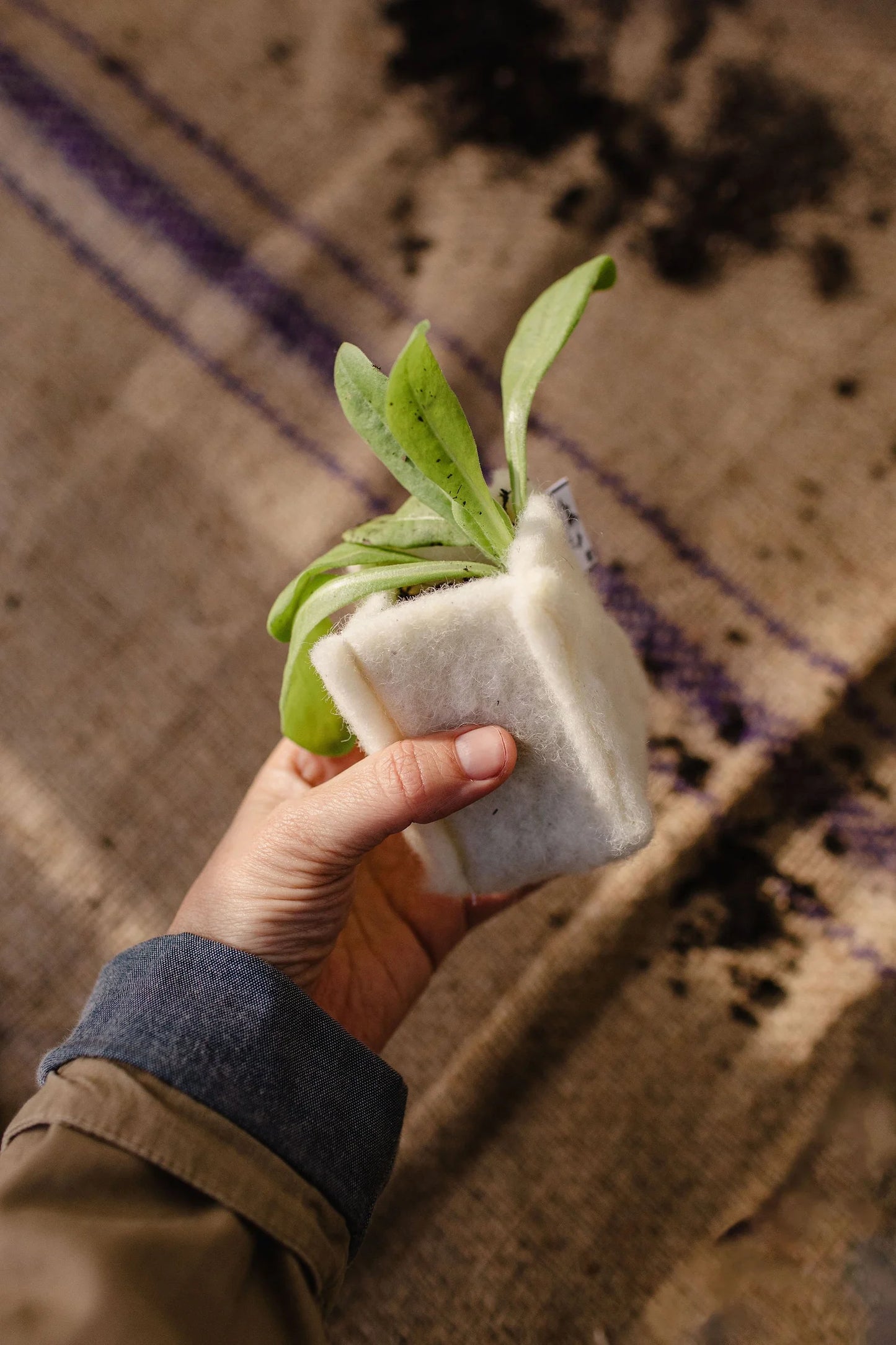 Floating Peaks: The Kids Pack - Create your own wool pots