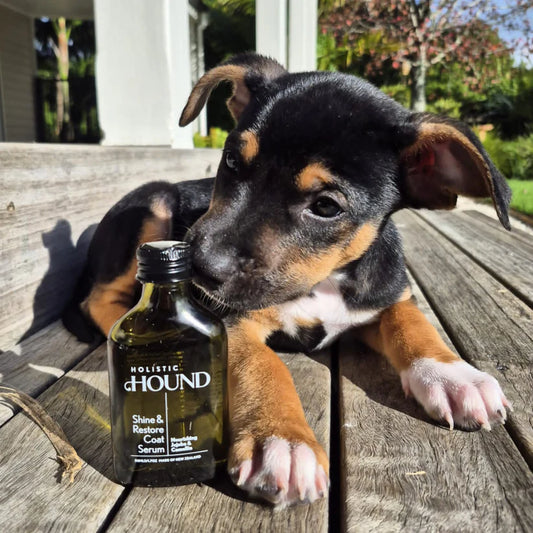 Holistic Hound Shine & Restore Coat Serum