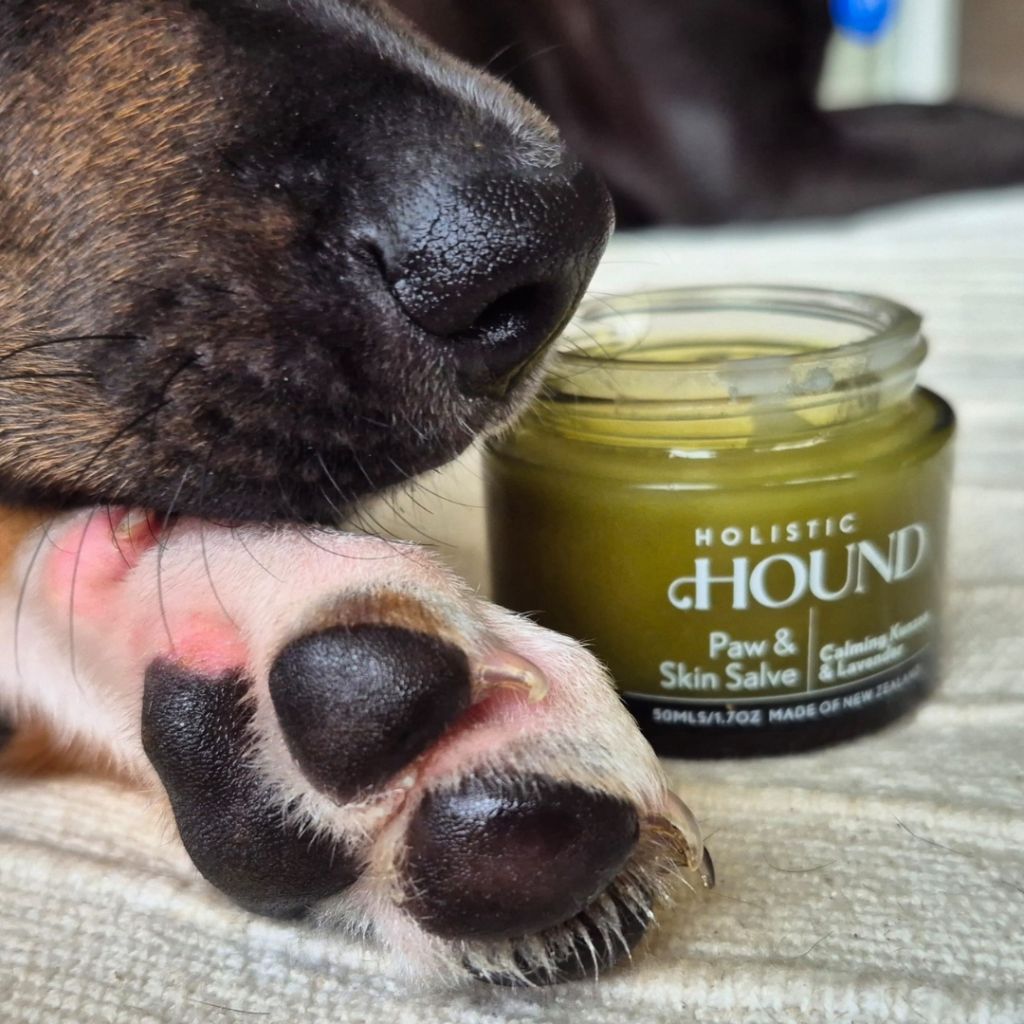 Holistic Hound Paw & Skin Salve