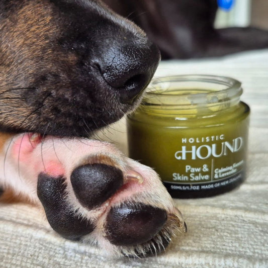 Holistic Hound Paw & Skin Salve