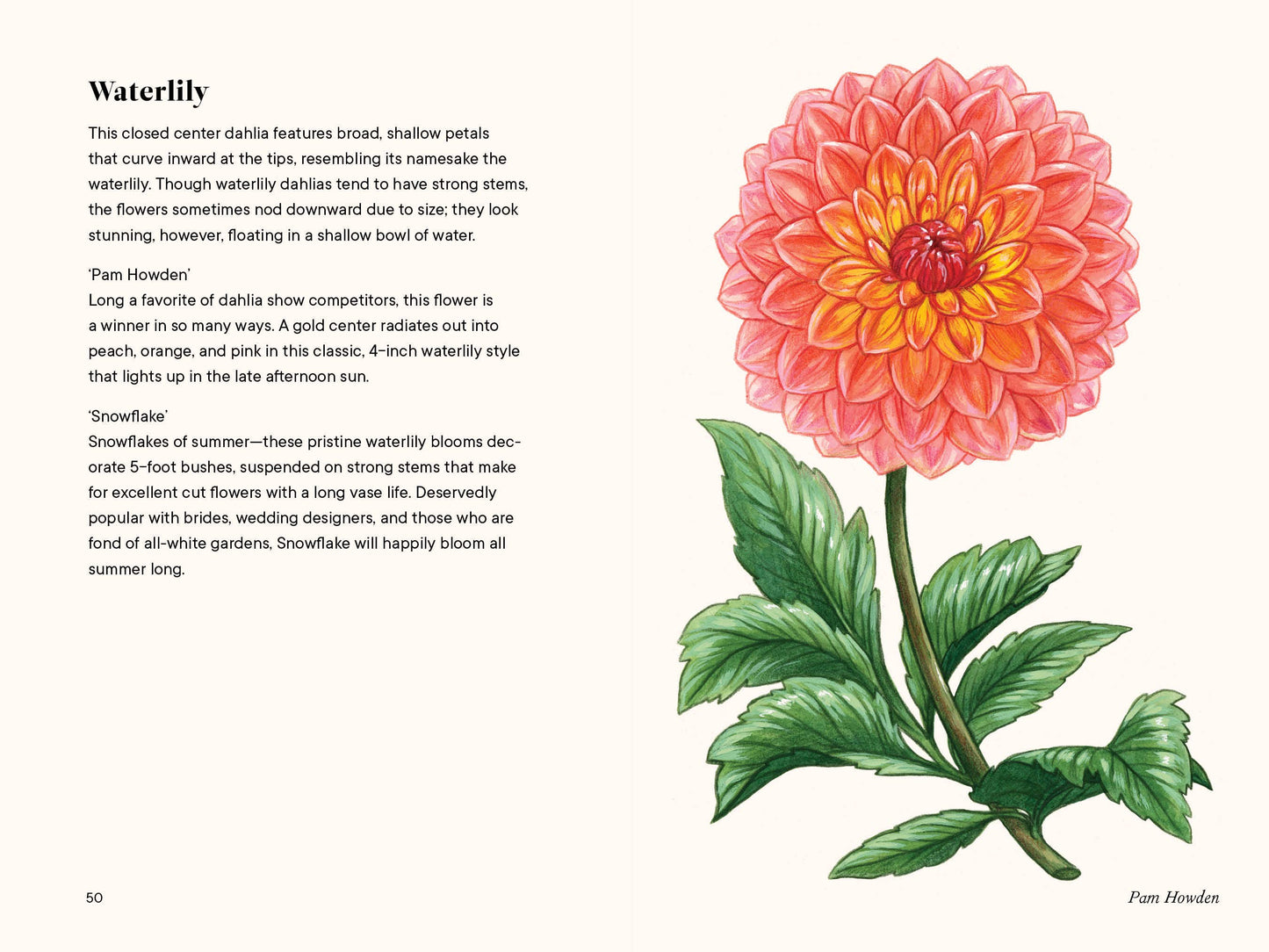 Dahlias: A Little Book of Flowers (Valentines, Galentines)