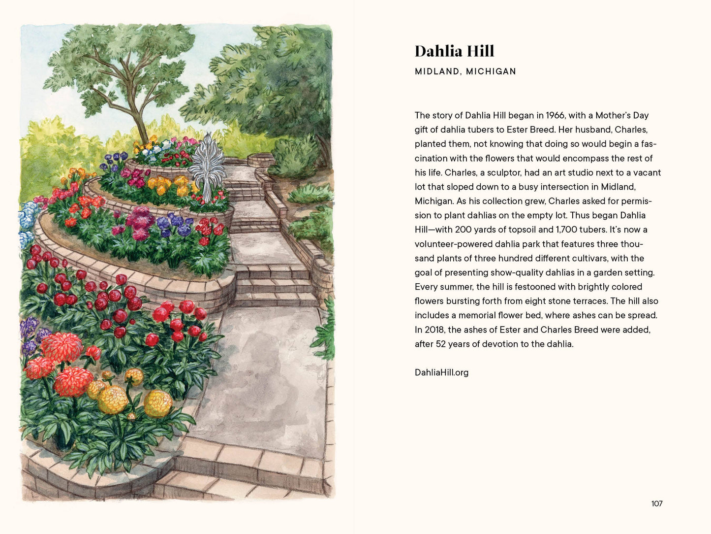 Dahlias: A Little Book of Flowers (Valentines, Galentines)