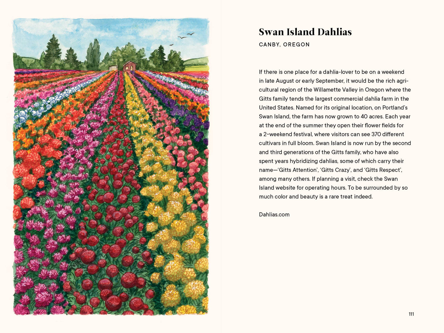 Dahlias: A Little Book of Flowers (Valentines, Galentines)