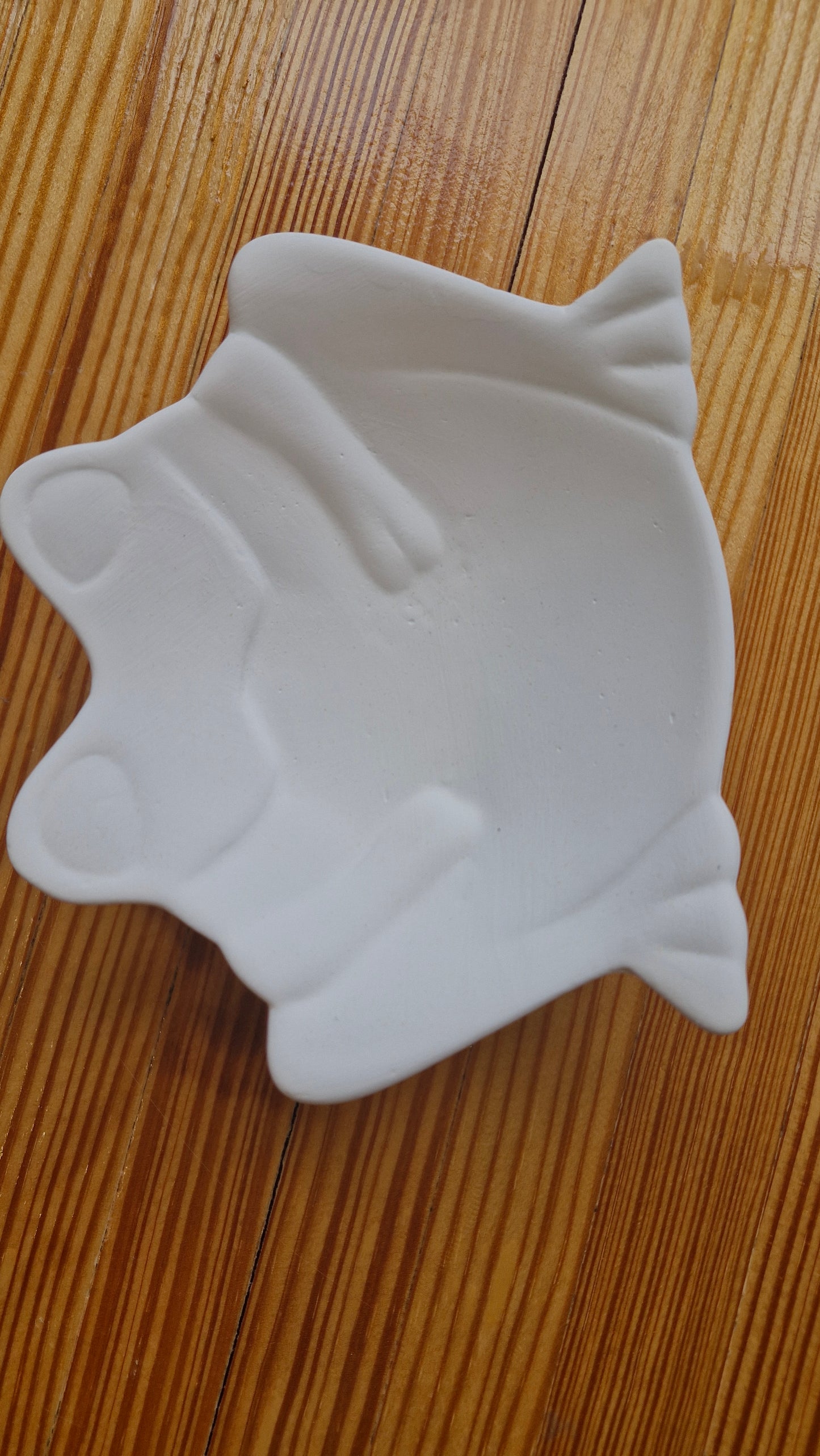Colour & Clay-Novelty dish